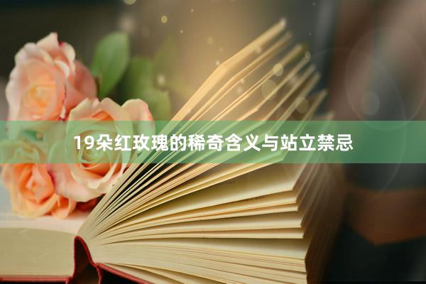 19朵红玫瑰的稀奇含义与站立禁忌