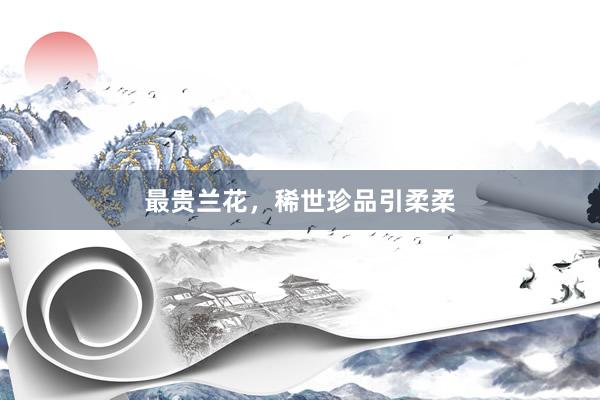 最贵兰花，稀世珍品引柔柔