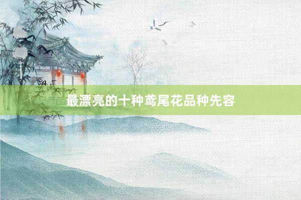 最漂亮的十种鸢尾花品种先容