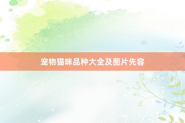 宠物猫咪品种大全及图片先容